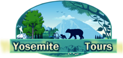 Yosemite Touren auf Deutsch