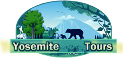 YOSEMITE TOURS EN ESPAÑOL