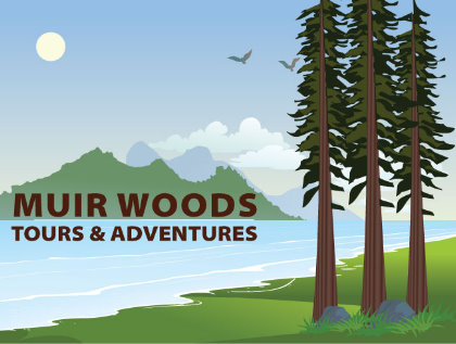 MUirWoods tours from san francisco