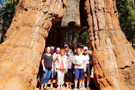 mariposa groves sequoias group leo